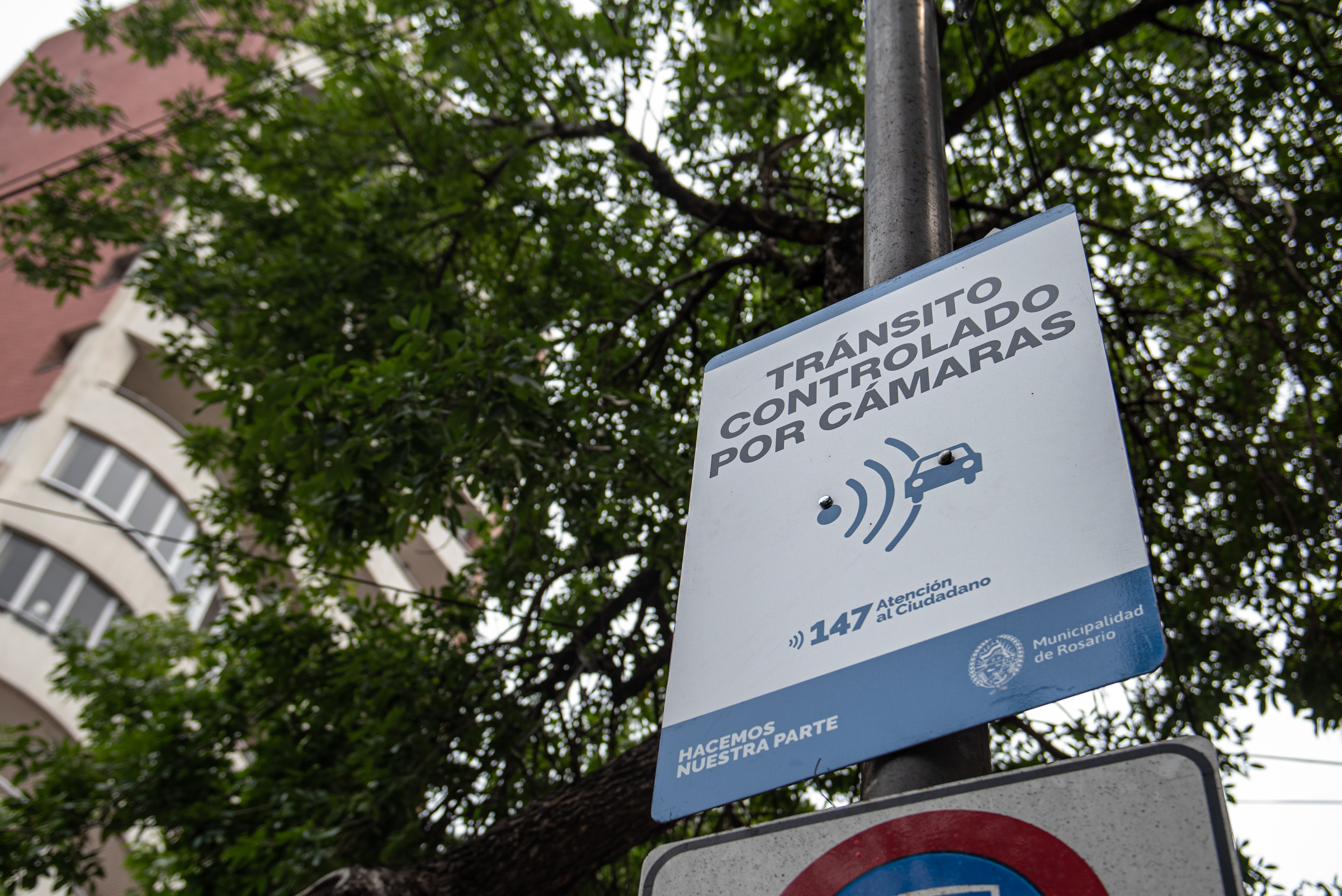 camaras transitos carteles