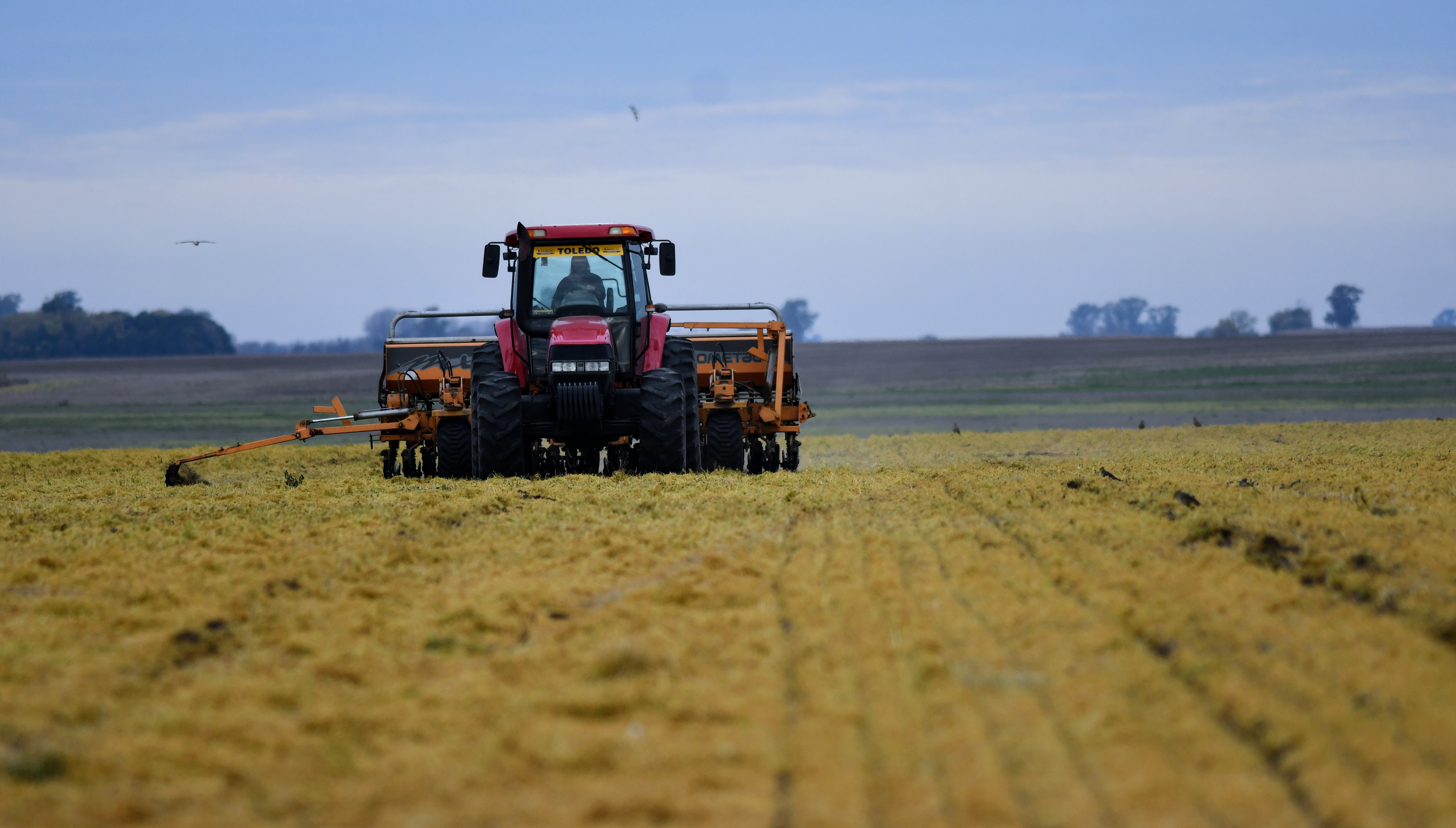 campo Cosechadora cosecha