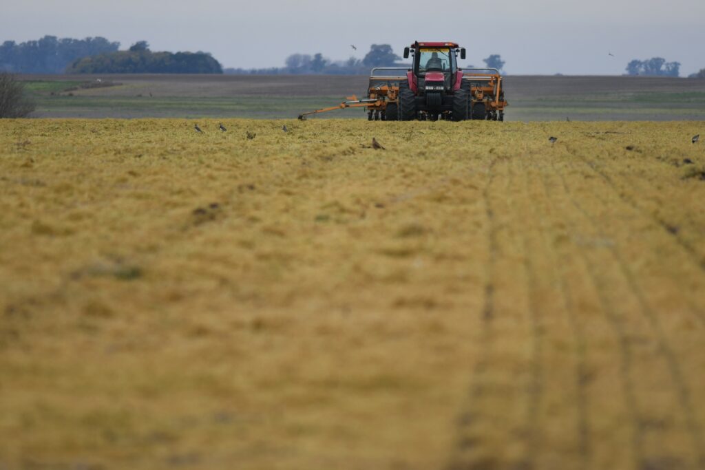 campo Cosechadora cosecha