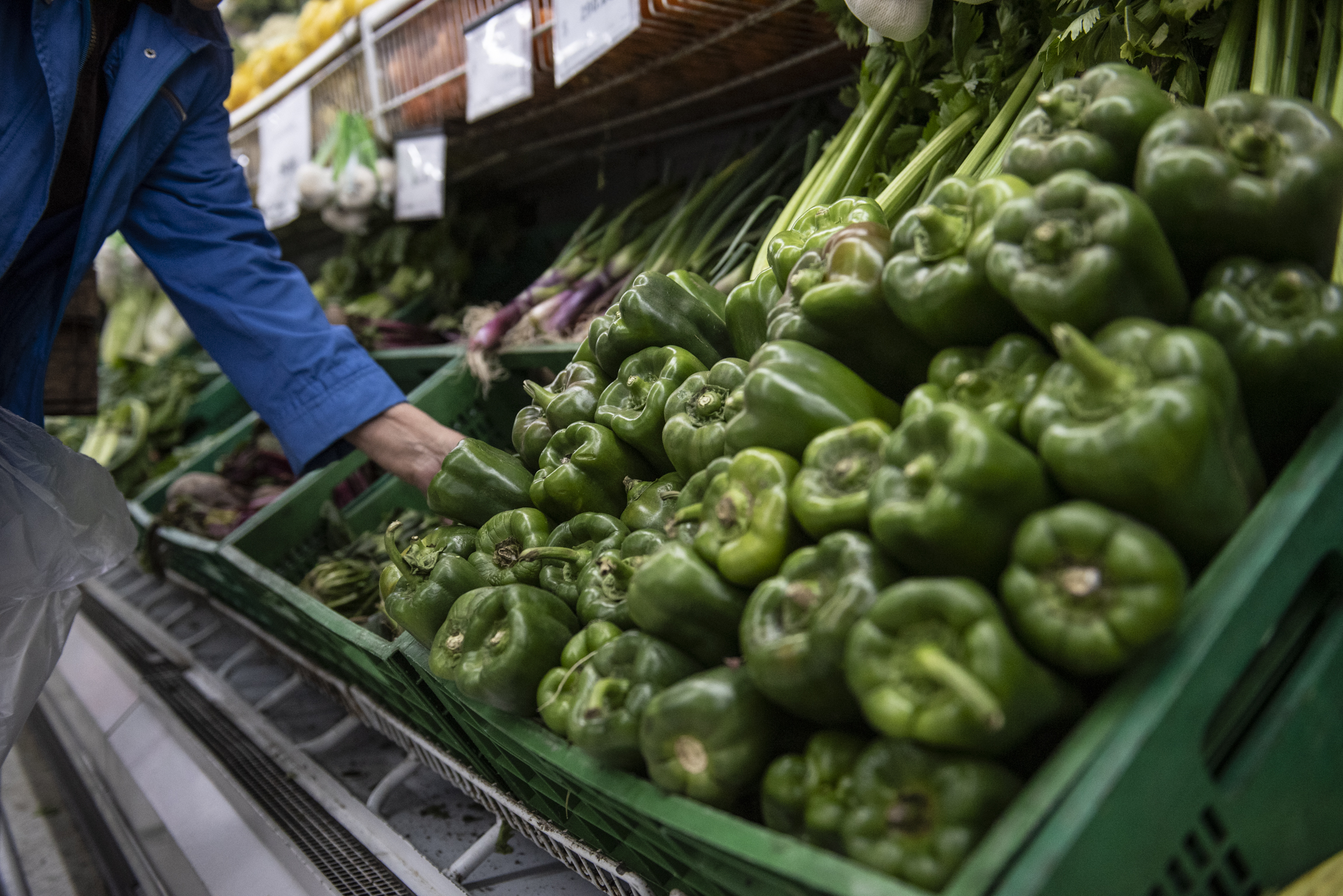 verduras verduleria precios