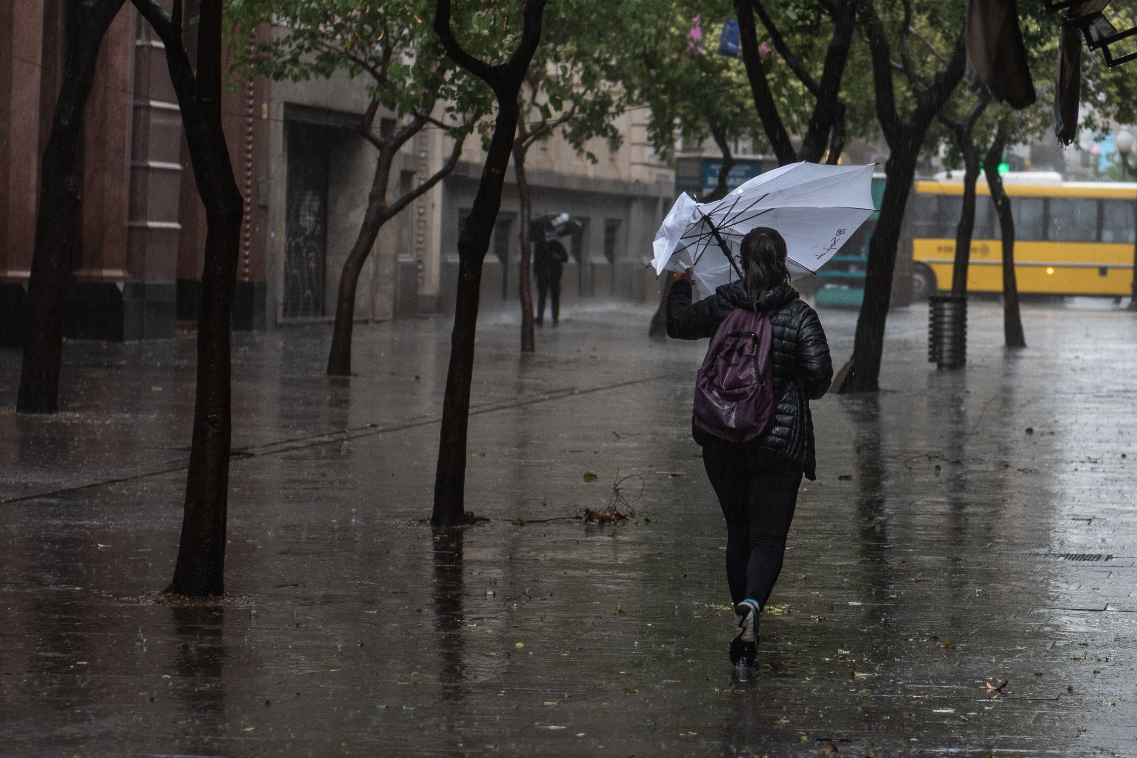 lluvia clima rosario