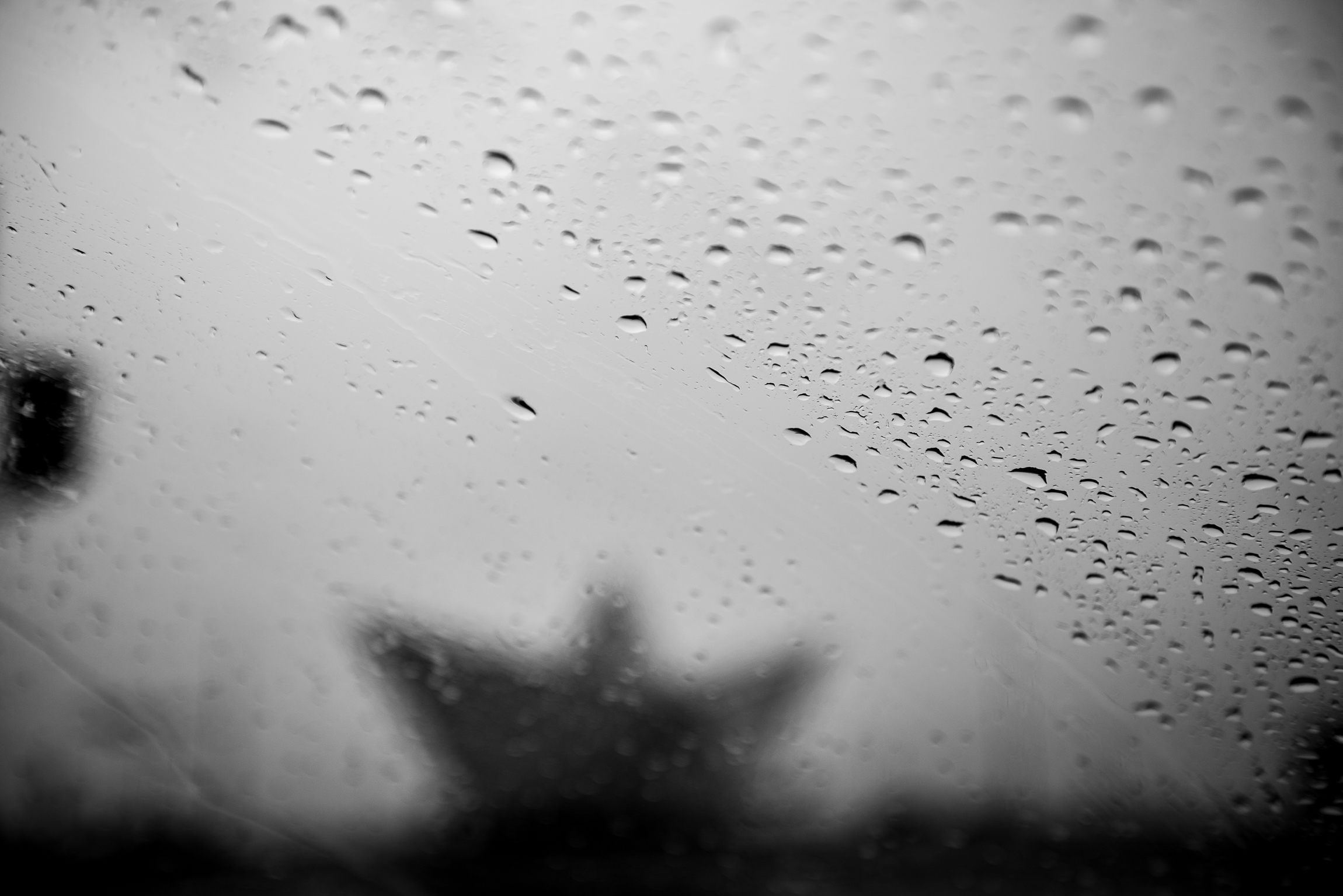 lluvia clima rosario