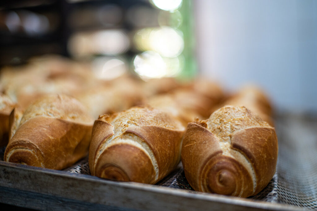 pan panaderias harinas