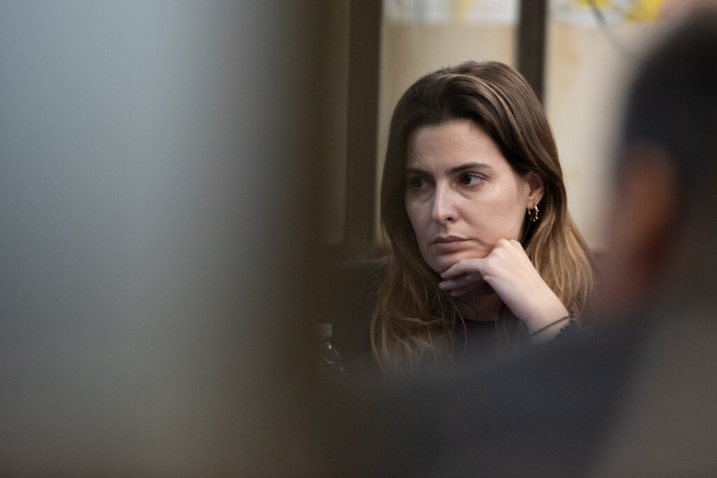 convención reformadora - lionella cattalini