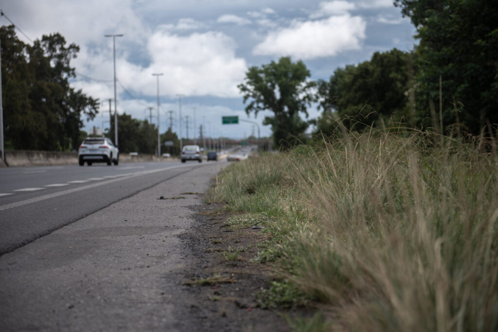 Circunvalacion yuyos