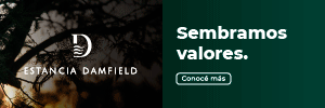 ESTANCIA DAMFIELD
