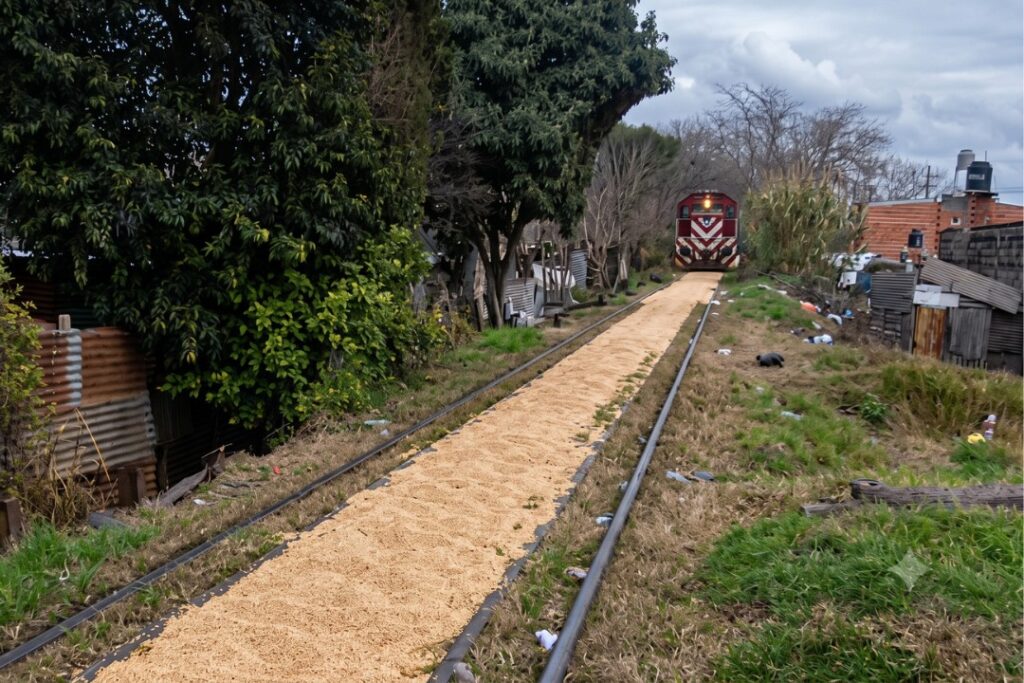 El robo no llegó a concretarse y la soja acabó desparramada sobre las vías.