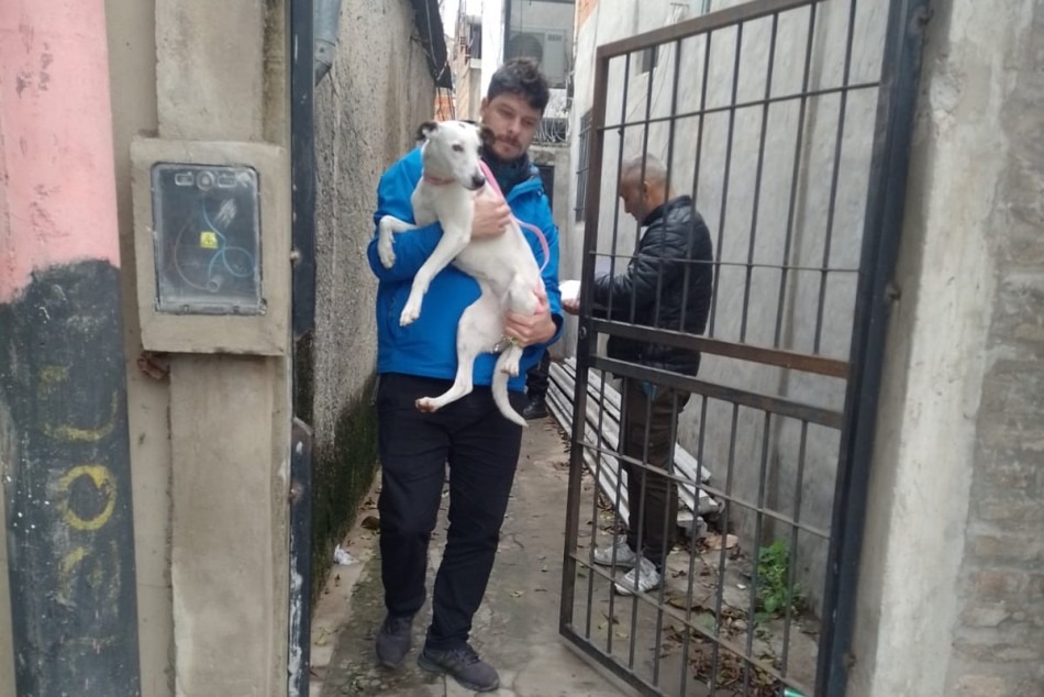 "Agentes de la Secretaría de Control de Rosario y Policía de Santa Fe rescatando a una perra maltratada."